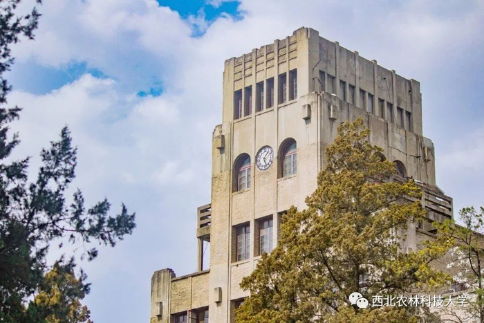 图源：相里祉祺　师一帆