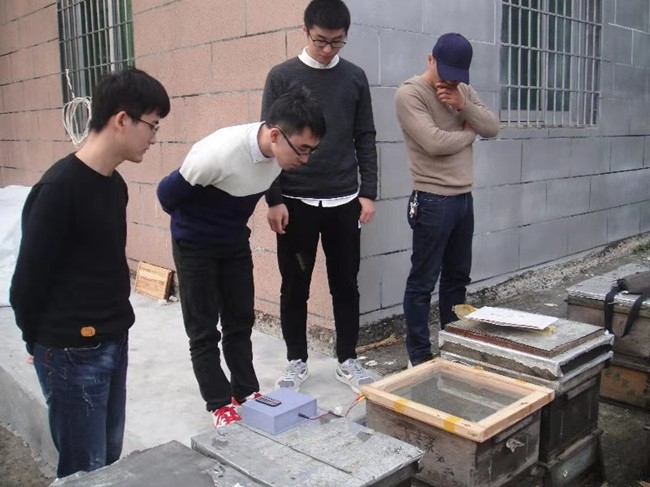 科研人员正在采集蜂毒。资料图片