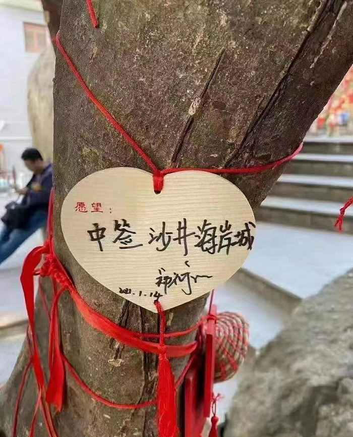 图片来源 / 新浪微博@深圳RAY