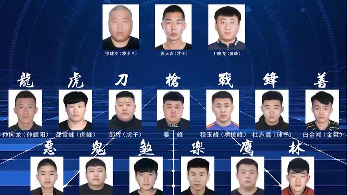 （该犯罪团伙组织架构）