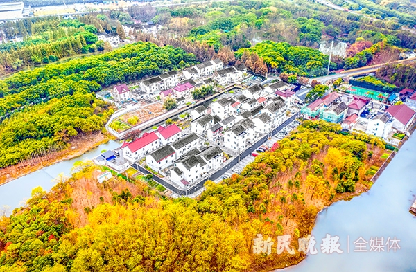 图说：张江乡村人才公寓。孙中钦 摄