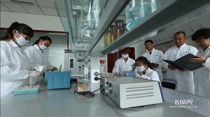 河北巡天农业科技有限公司是国内优秀的杂粮种业领军企业。本网资料图