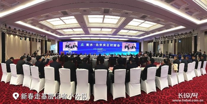 衡水·北京央企对接会现场。长城网记者 卢婉凤 摄