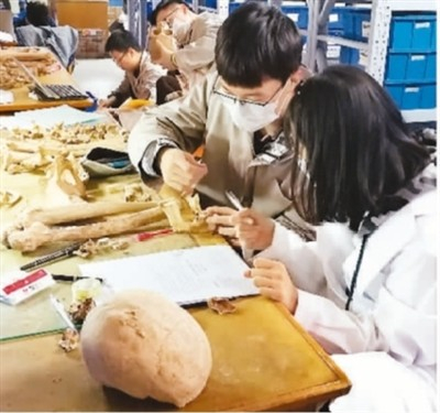 北京大学考古文博学院创建了系统完整的中国考古学科教研体系，被誉为“中国考古学家的摇篮”；在田野考古学、考古年代学等研究领域处于领先地位。图为北大考古文博学院何嘉宁教授团队开展研究。