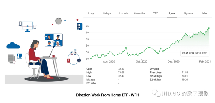 配图15：2020 年 6 月 Direxion 发行的新 ETF - WFH