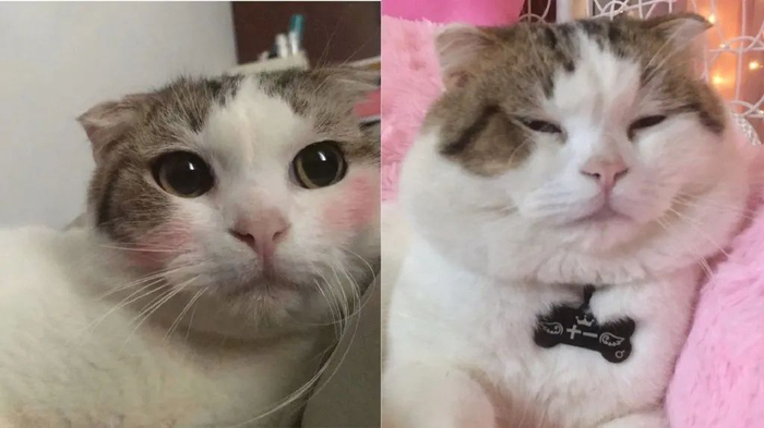 微博截图