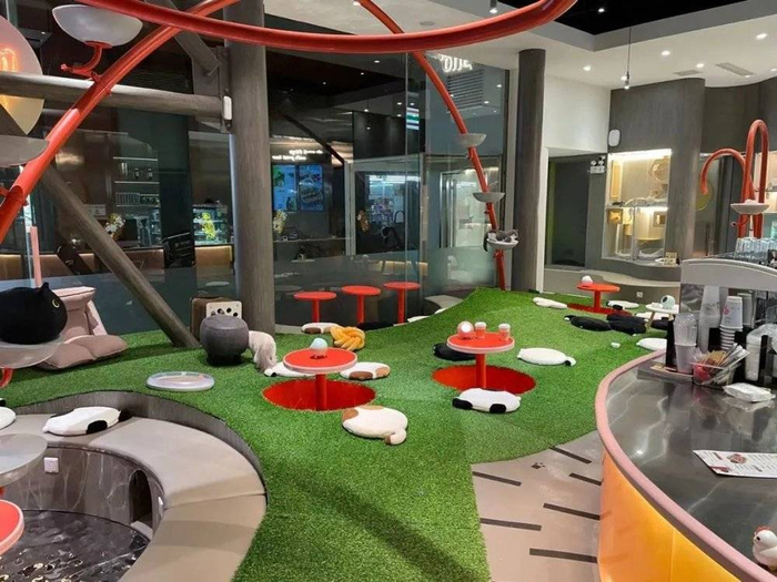 撸猫与就餐在同一空间里/豹变