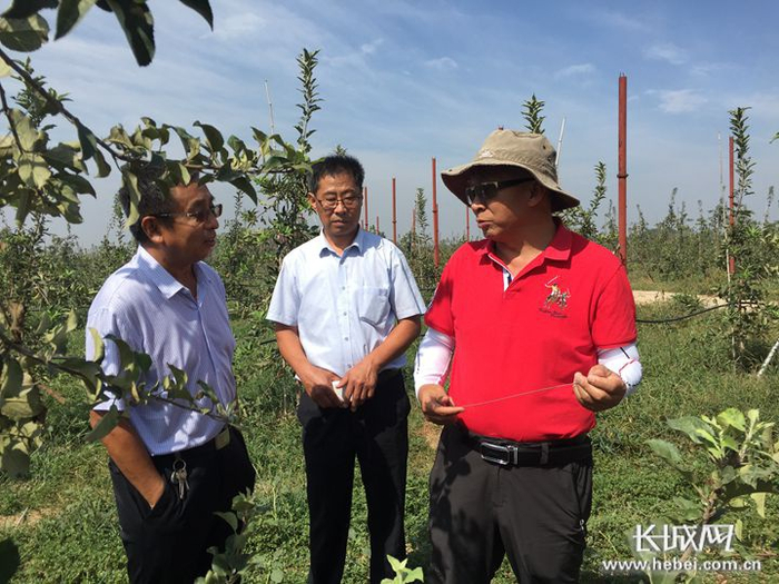 孙建设（右）与团队专家在探讨技术问题。资料图片