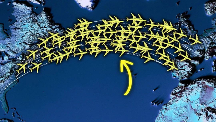 （图片来源：https://cheddar.com）