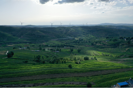 生态移民搬迁后，西吉山区的生态环境得以修复和改善。来源：视觉中国