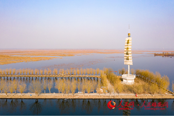 白洋淀风景。人民雄安网 李兆民/摄