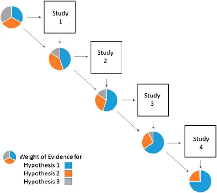 图2. 信息态演变示意图，每一个时刻的饼图都代表信息状态的改变，面积的大小变化则对应着权重的变化。从图中我们能够明显地看到，随着研究的进展，蓝色所代表的假设1的权重在逐渐增强。