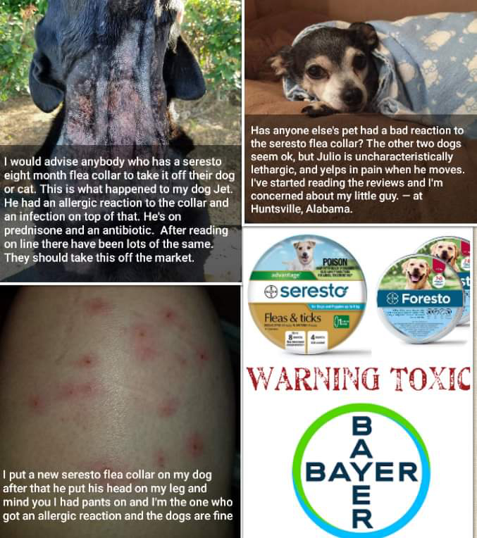 主人们在Facebook小组上分享自己的悲惨经历