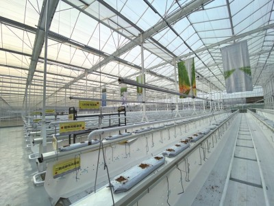 技术世界领先的智能温室大棚