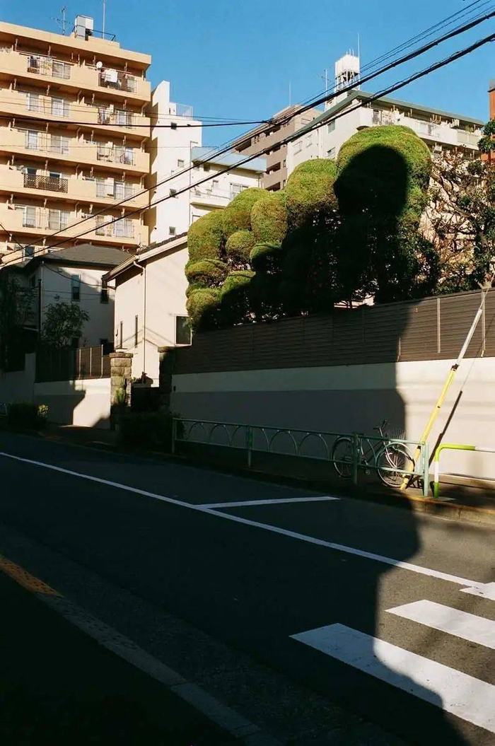 找到了。不知道为什么我居然是看到围墙认出来的。