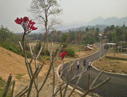 △ 象龙村道路硬化后的村内道路。（中国国际扶贫中心供图）