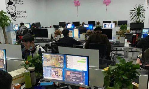 倒是没看出多专业