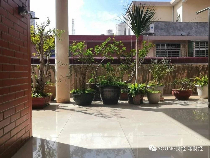 林家顶楼花园，在这里可以看书喝茶晒太阳