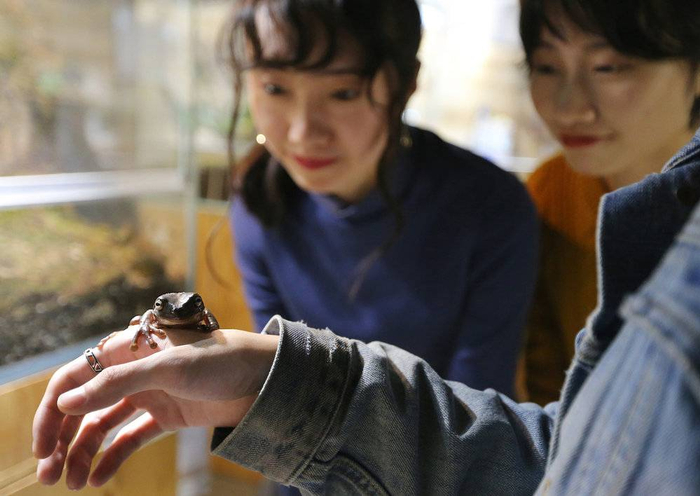 成都一家爬宠店/图片来源：视觉中国。