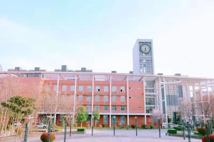 图片来源：某拍卖平台