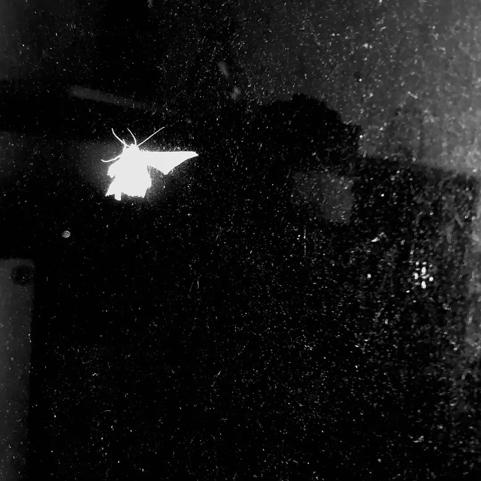 图片来自豆瓣用户@遇雨