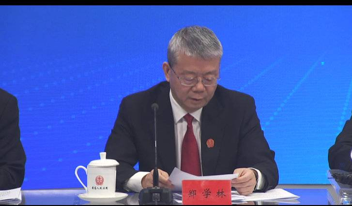 最高法民一庭庭长、少年法庭工作办公室副主任郑学林。