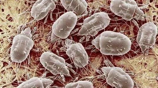 △ 建议3个月或者大换季的时候就要洗一次枕头。