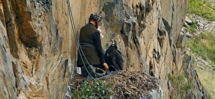 艾索潘接近雏鹰