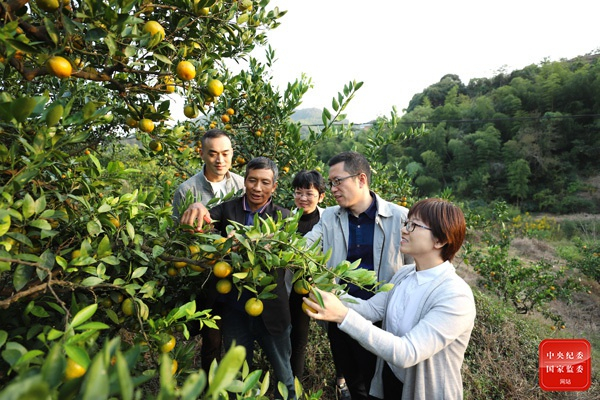 浙江省宁波市江北区纪委监委下沉监督力量，持续开展“四个不摘”扶贫政策落实监督，着力巩固拓展脱贫攻坚成果。何斌 摄