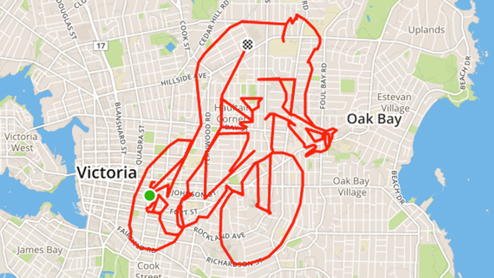 用户通过 Strava 记录的骑行轨迹（设计过路线）