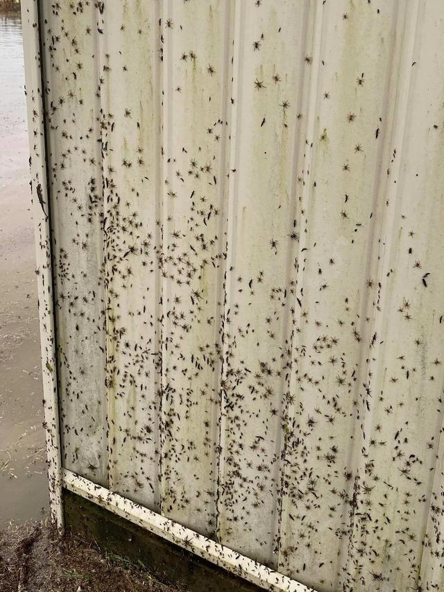 图源：社交媒体