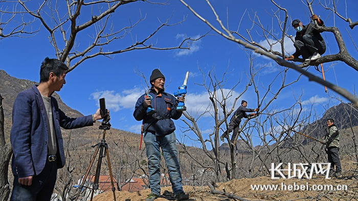 目前，艾峪口村有许多村民都在通过网络直播卖板栗。承德日报记者 王海琦 摄