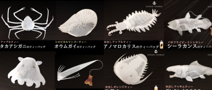 海洋生物茶包，图片来源：ocean-teabag官网