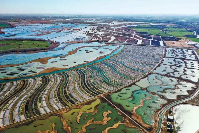 白洋淀地处雄安新区腹地，其治理与保护，关乎新区建设的“生命线”。而改善白洋淀水质，很重要的途径就是把好白洋淀的“入口关”府河河口湿地正是起到了这样的作用。甘南摄
