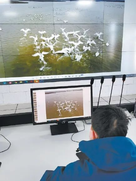 现代化的监控设备覆盖了整个湿地，工作人员足不出户就能掌握湿地的全部数据和实时状况。甘南摄