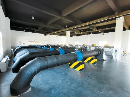 府河河口湿地日处理水量可达25万立方米，相当于一个中等城市的污水排放量。甘南摄