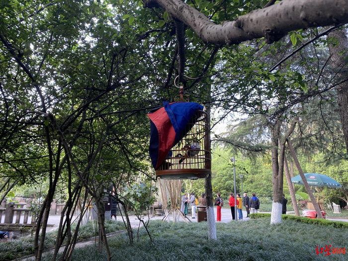 △挂在公园里的鸟笼