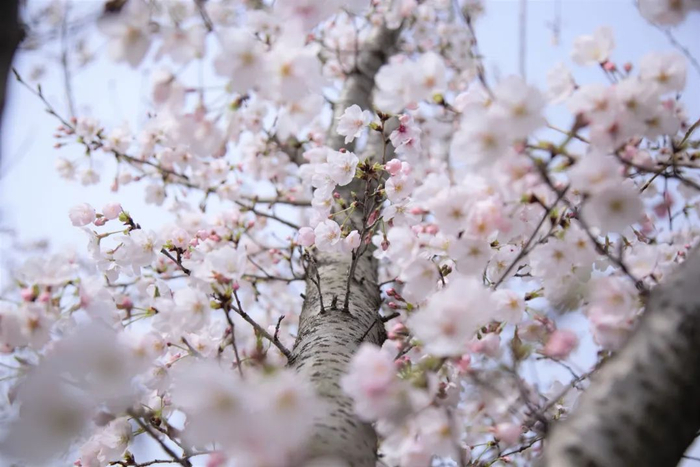 图片来源：交汇点