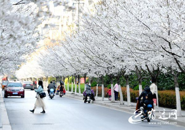 图片来源：宿迁网