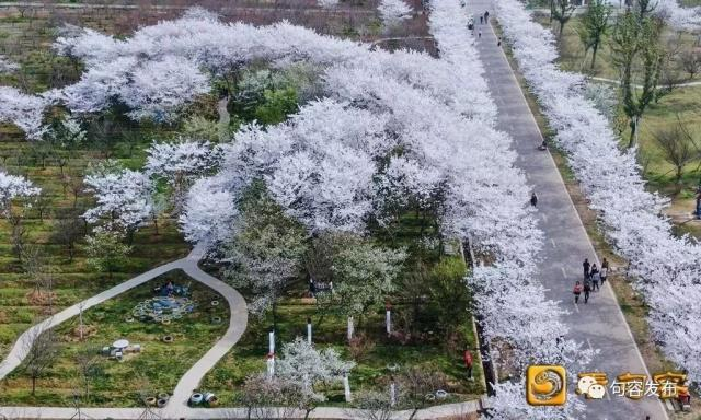 图片来源：句容发布