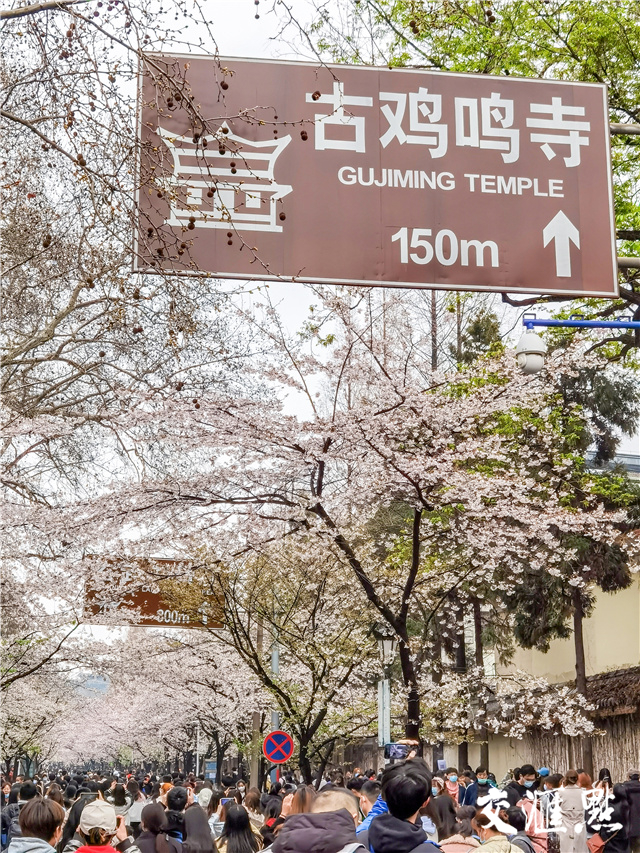 图片来源：交汇点