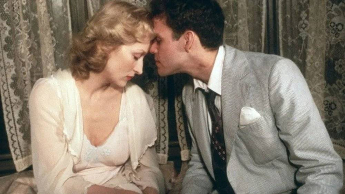 ©️《苏菲的抉择》