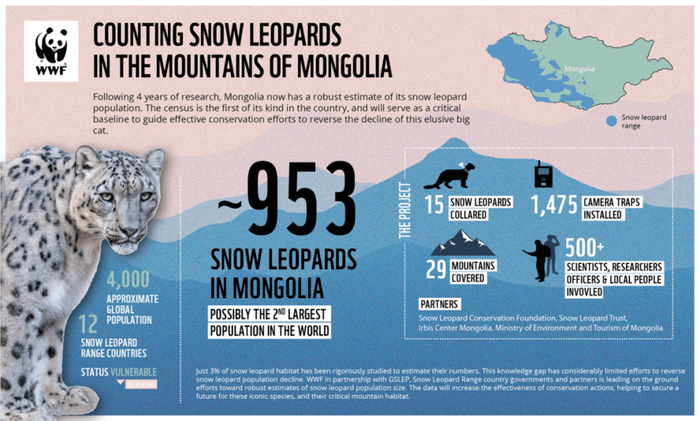 蒙古的雪豹调查表明，全境有953只雪豹存在 来源：WWF