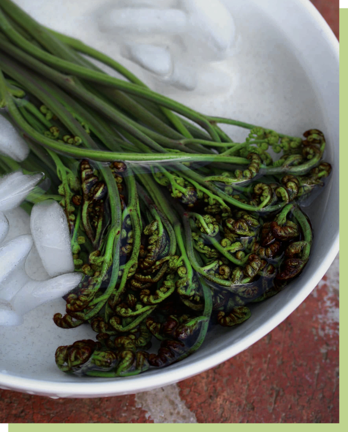 蕨菜中含原蕨苷，宜焯水后再行烹调。©Daringgourmet.com