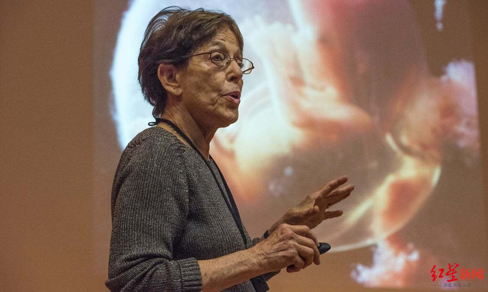 ▲斯万教授 图据卫报