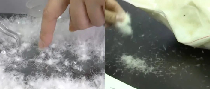 △图左为朵绒/图右为羽丝