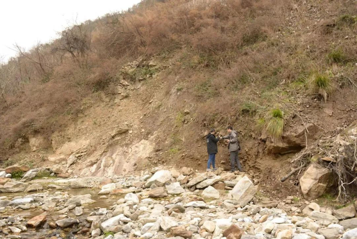 资料图：植物学家寻找陕西羽叶报春