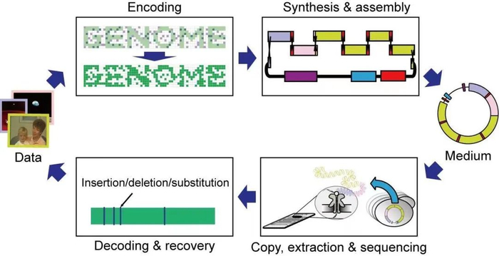 数据存储工作流程