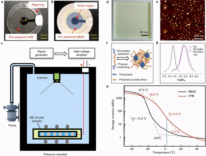 VHB和 SBAS 的驱动性能实验（来源：Nature）