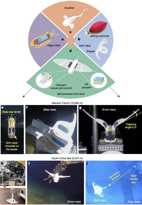机器人设计与深海试验（来源：Nature）